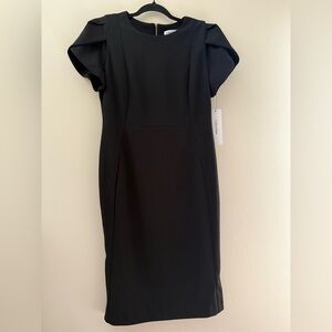 NWT Calvin Klein‎ Cap Sleeve Sheath Dress in Black - 12